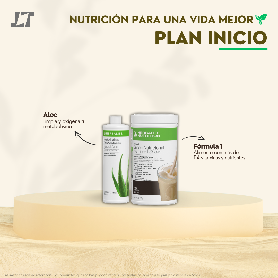 Plan Inicio